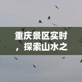 重庆景区实时探索，山水之城的奇幻魅力