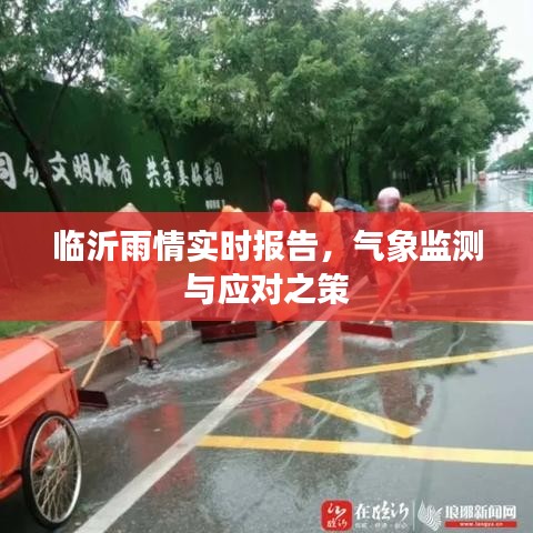 临沂雨情实时更新，气象监测与应对策略