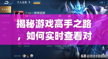揭秘游戏高手之路，实时查看对方段位排名攻略