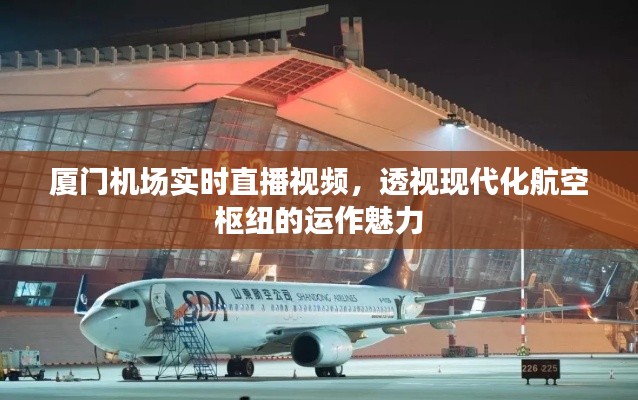 厦门机场实时直播，现代化航空枢纽运作魅力全景透视