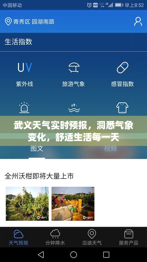 武义实时天气预报，洞悉气象变化，享受舒适生活