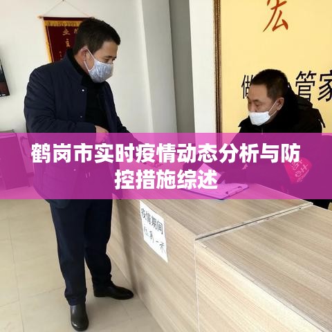 鹤岗市实时疫情动态分析与防控措施综述报告