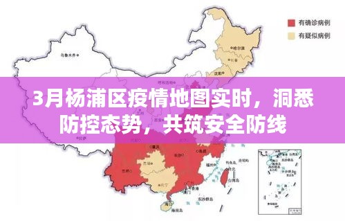 3月杨浦区疫情实时地图，洞悉防控动态，共筑安全屏障