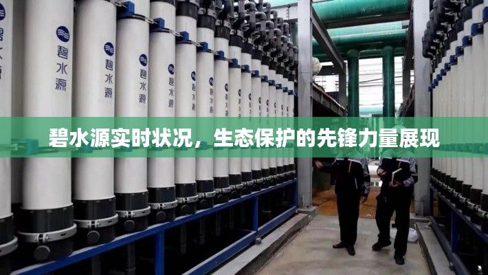 碧水源实时状况，先锋力量展现生态保护成就