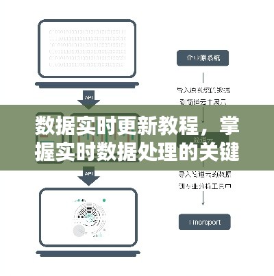 数据实时更新教程，掌握实时数据处理的关键步骤详解