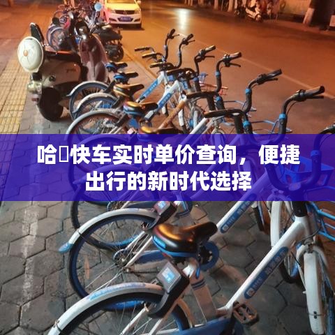 哈啰快车实时单价查询，便捷出行新时代的优选服务