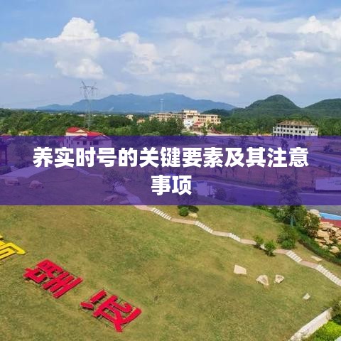 伸手不见五指 第3页