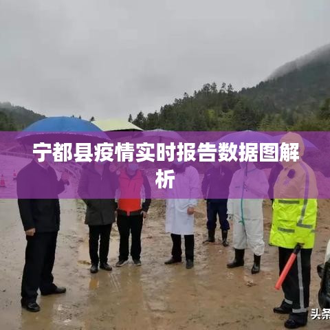 宁都县疫情实时报告数据图详解