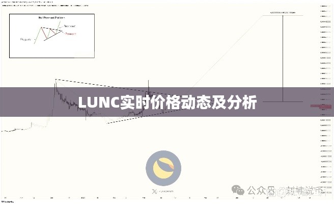 LUNC实时价格动态与深度分析