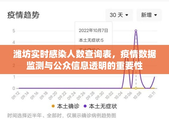 潍坊疫情实时感染数据查询表，疫情数据监测与公众信息透明的重要性