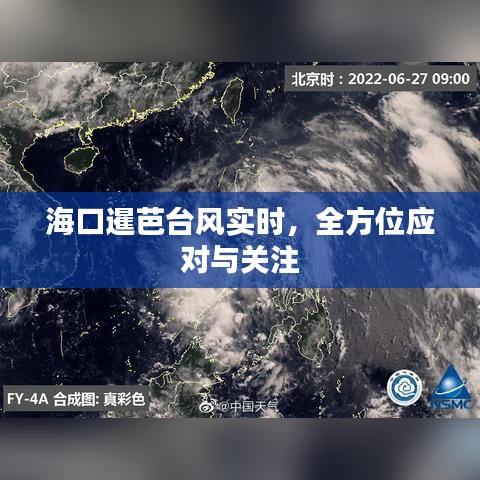 海口暹芭台风实时更新，全方位应对与密切关注