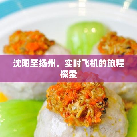 张皇失措 第3页