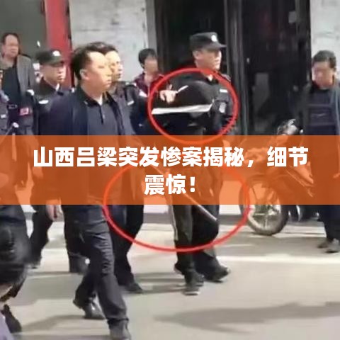 山西吕梁突发惨案揭秘，细节震惊！