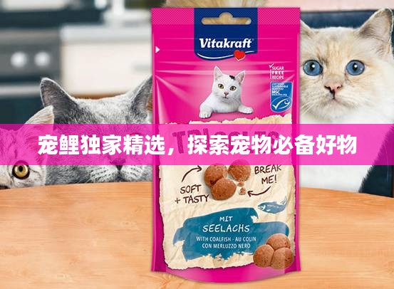 宠鲤独家精选，探索宠物必备好物