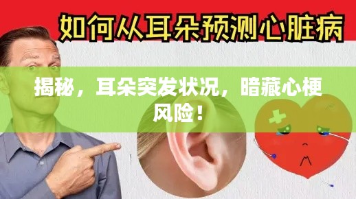 鸟语花香 第3页