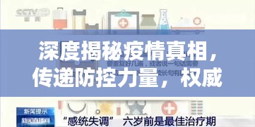 深度揭秘疫情真相，传递防控力量，权威报道不容错过