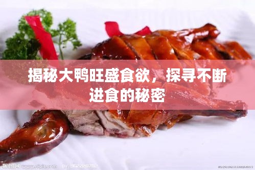 揭秘大鸭旺盛食欲，探寻不断进食的秘密