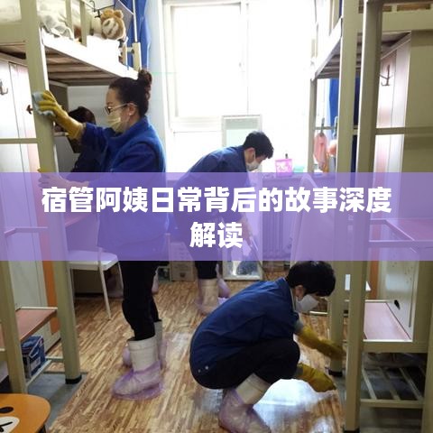 宿管阿姨日常背后的故事深度解读