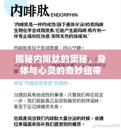 揭秘内啡肽的奥秘，身体与心灵的奇妙纽带