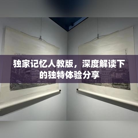 独家记忆人教版，深度解读下的独特体验分享