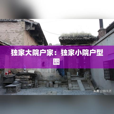 独家大院户家：独家小院户型图 