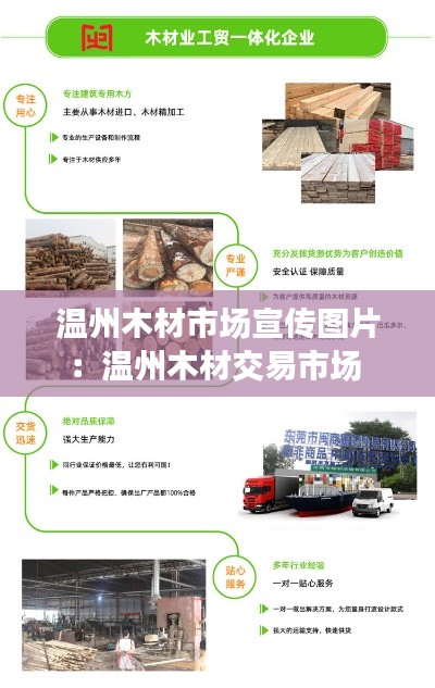 温州木材市场宣传图片：温州木材交易市场 