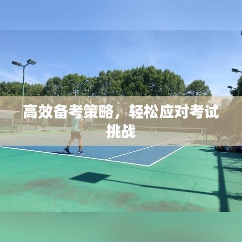 高效备考策略，轻松应对考试挑战