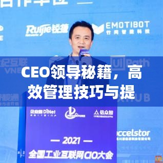 CEO领导秘籍，高效管理技巧与提升领导效能的关键策略