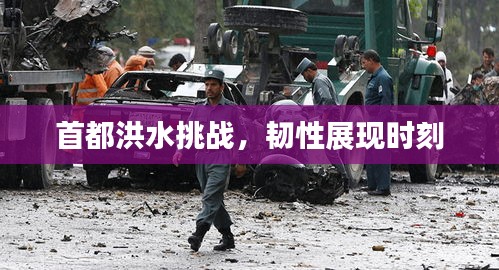 首都洪水挑战，韧性展现时刻