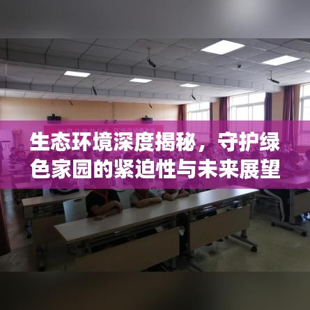 生态环境深度揭秘，守护绿色家园的紧迫性与未来展望