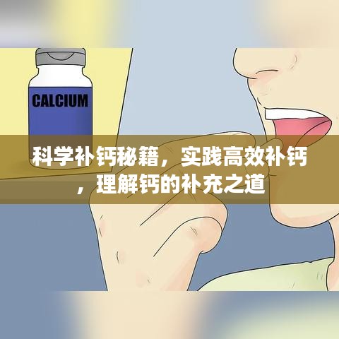 科学补钙秘籍，实践高效补钙，理解钙的补充之道