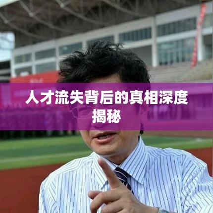 人才流失背后的真相深度揭秘