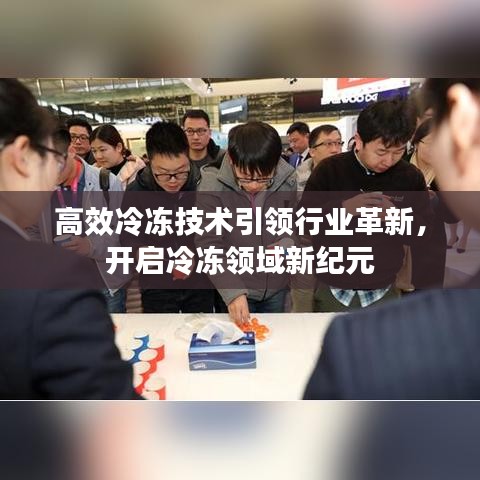 高效冷冻技术引领行业革新，开启冷冻领域新纪元