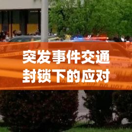 突发事件交通封锁下的应对策略与民生保障之道
