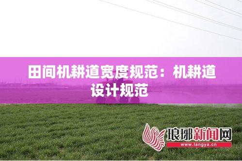 田间机耕道宽度规范：机耕道设计规范 
