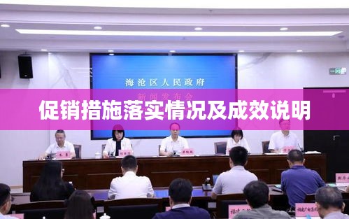 促销措施落实情况及成效说明