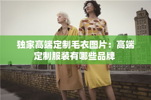 独家高端定制毛衣图片：高端定制服装有哪些品牌 