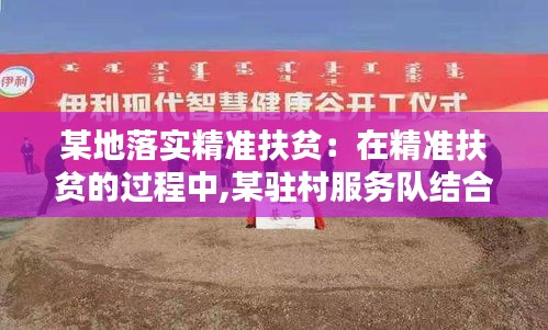 某地落实精准扶贫：在精准扶贫的过程中,某驻村服务队结合当地高山地形 