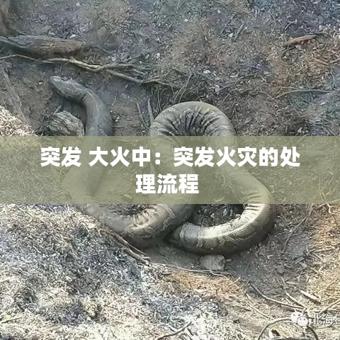 突发 大火中：突发火灾的处理流程 