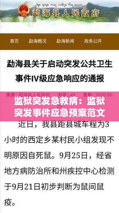 监狱突发急救病：监狱突发事件应急预案范文 