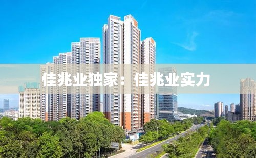 佳兆业独家：佳兆业实力 