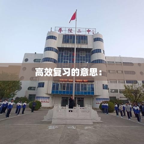 高效复习的意思： 
