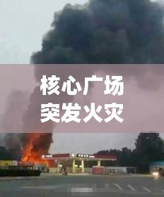 水浄鹅飞 第3页