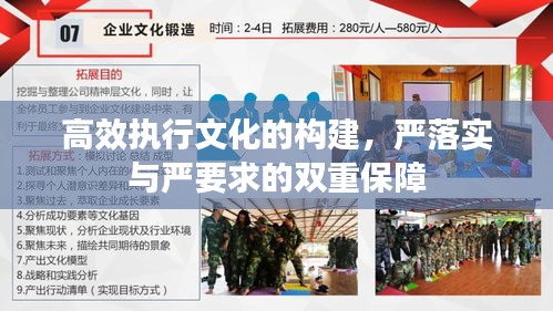 高效执行文化的构建，严落实与严要求的双重保障