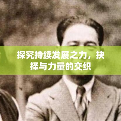 探究持续发展之力，抉择与力量的交织
