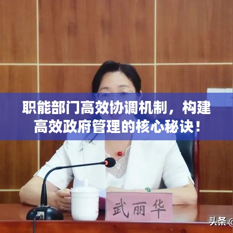 职能部门高效协调机制，构建高效政府管理的核心秘诀！