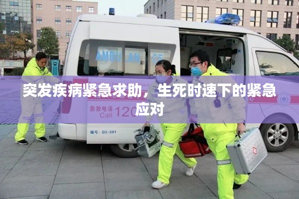 改弦易张 第3页