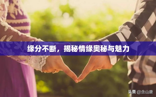 缘分不断，揭秘情缘奥秘与魅力