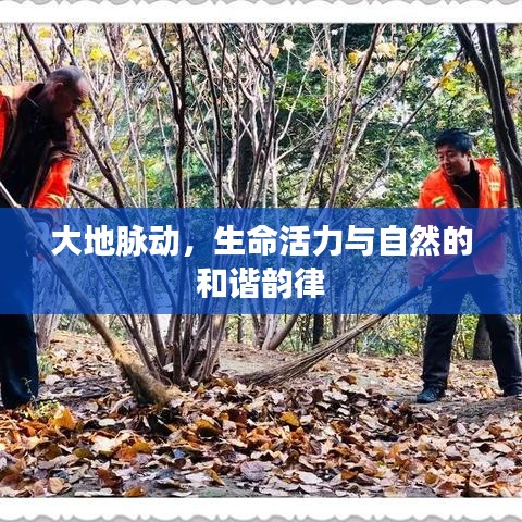 大地脉动，生命活力与自然的和谐韵律