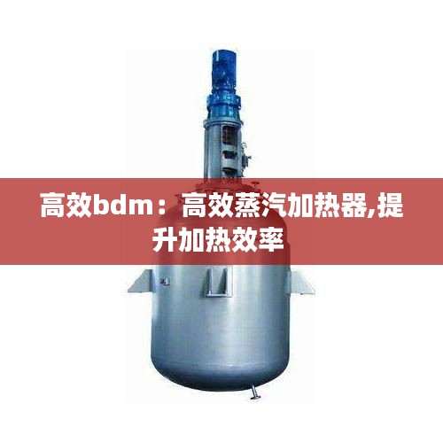 高效bdm：高效蒸汽加热器,提升加热效率 